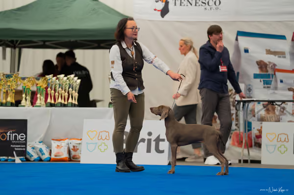 For Pets Cup — DSC02459