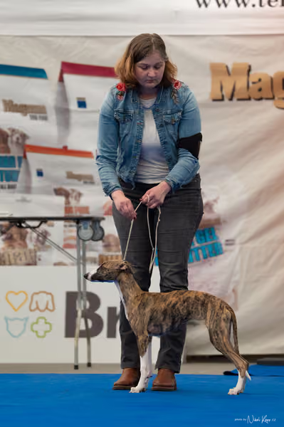 For Pets Cup — DSC02461