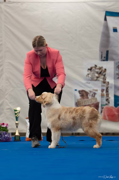 For Pets Cup — DSC02464