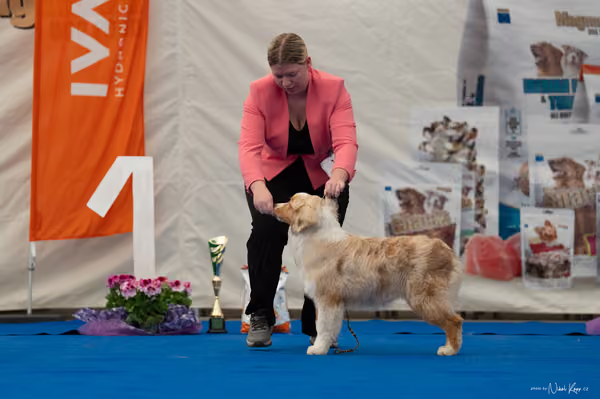 For Pets Cup — DSC02465
