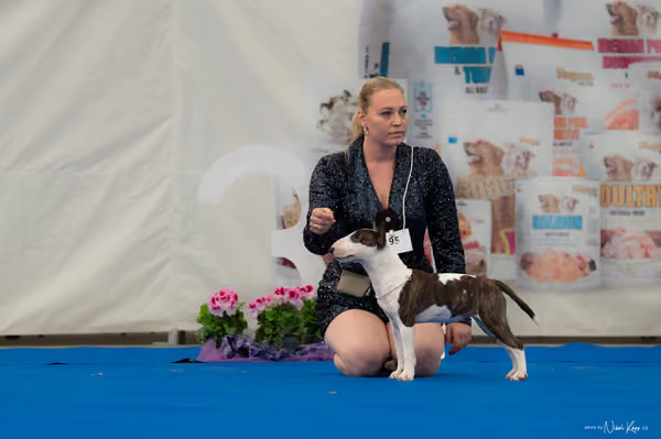 For Pets Cup — DSC02470