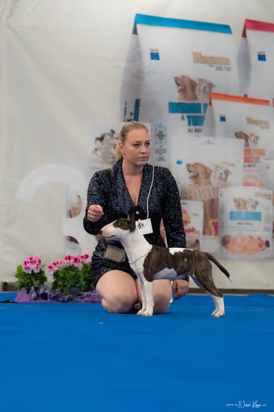 For Pets Cup — DSC02471