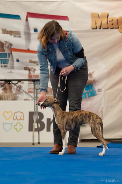 For Pets Cup — DSC02474