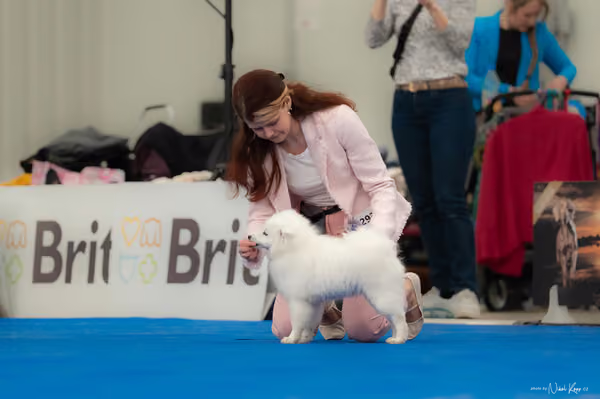 For Pets Cup — DSC02486