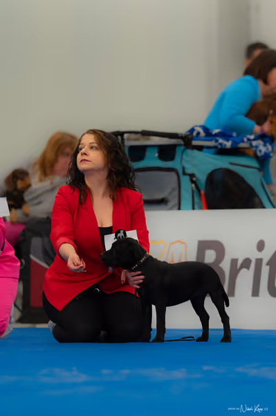 For Pets Cup — DSC02488