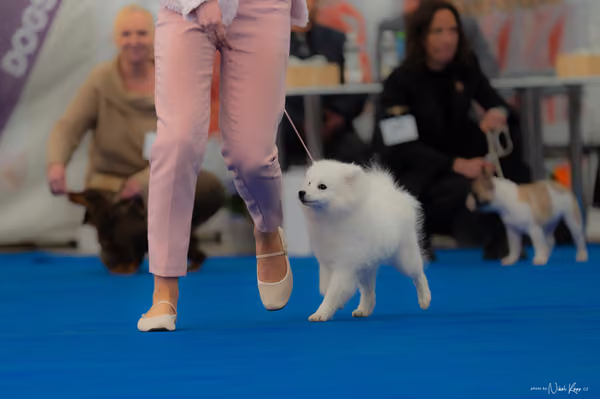 For Pets Cup — DSC02490