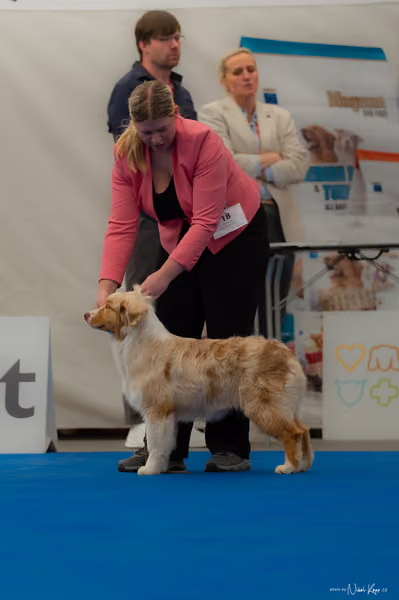 For Pets Cup — DSC02494
