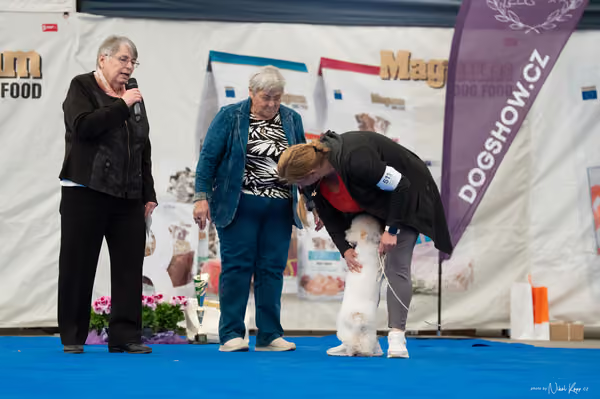 For Pets Cup — DSC02497