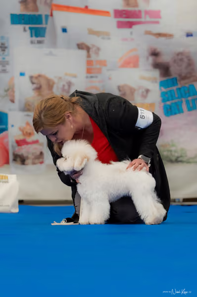 For Pets Cup – ŠTĚNĚ