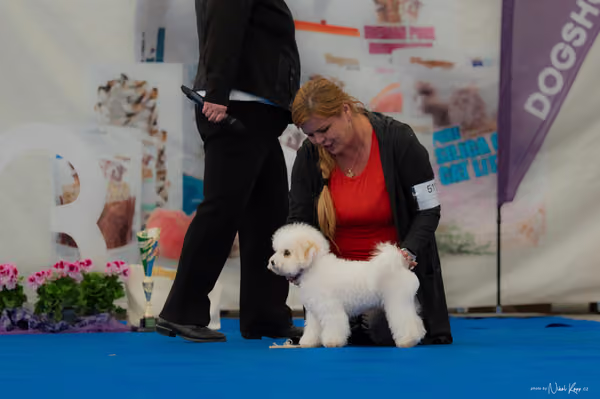 For Pets Cup – ŠTĚNĚ