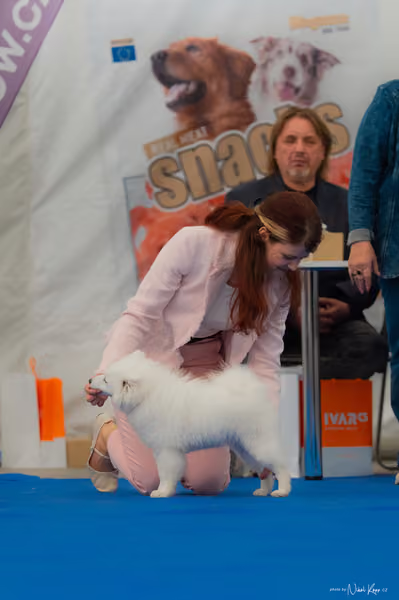 For Pets Cup – ŠTĚNĚ