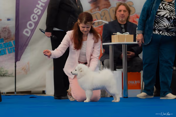 For Pets Cup – ŠTĚNĚ