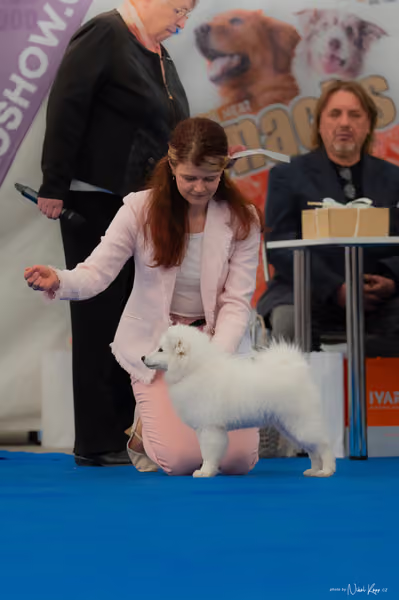 For Pets Cup – ŠTĚNĚ