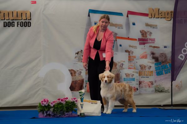 For Pets Cup – ŠTĚNĚ