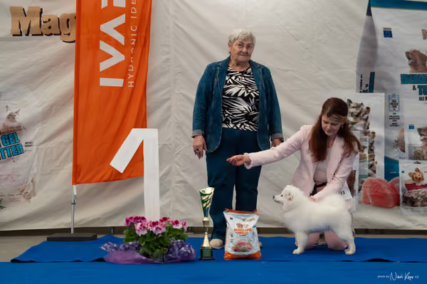 For Pets Cup – ŠTĚNĚ