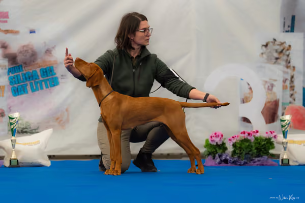 For Pets Cup – DOROST