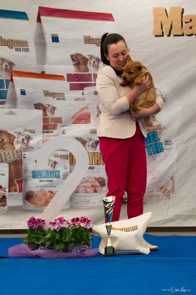 For Pets Cup – DOROST