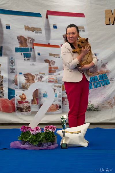 For Pets Cup – DOROST