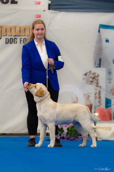 For Pets Cup — DSC02650