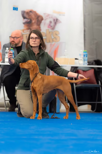 For Pets Cup — DSC02653