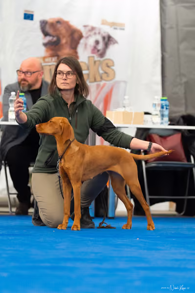 For Pets Cup — DSC02654
