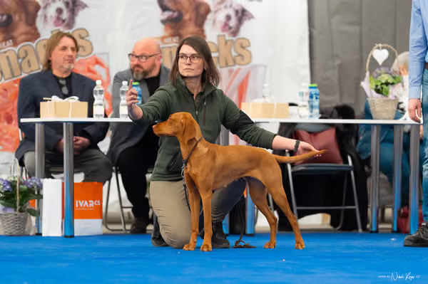 For Pets Cup — DSC02655