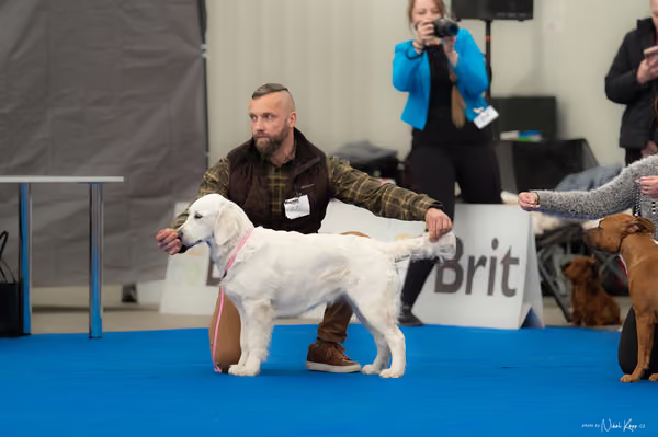 For Pets Cup – DOROST
