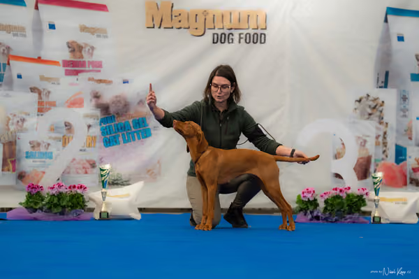 For Pets Cup – DOROST