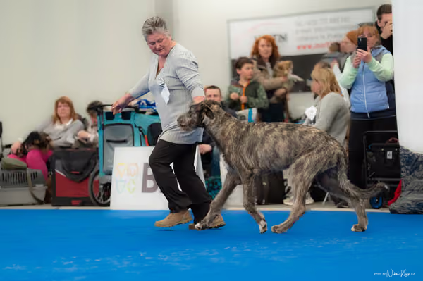 For Pets Cup — DSC02572