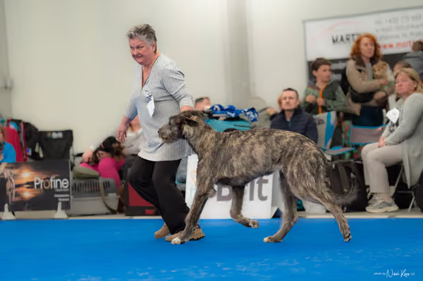 For Pets Cup — DSC02577
