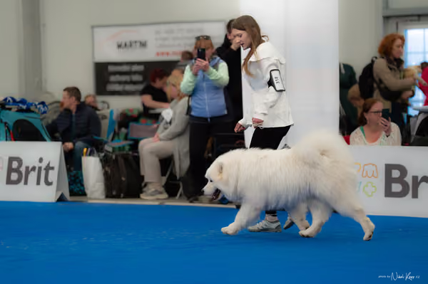 For Pets Cup — DSC02582