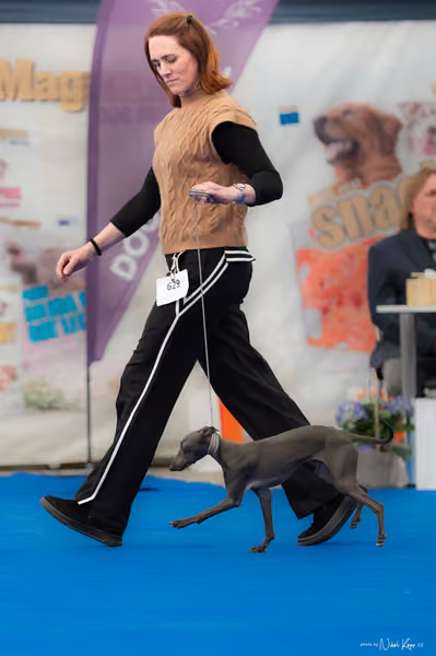For Pets Cup — DSC02605