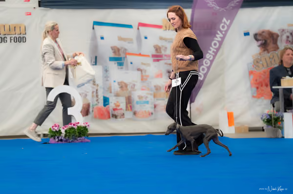 For Pets Cup — DSC02608
