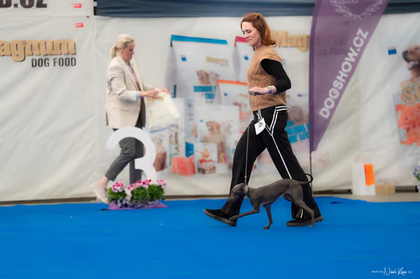 For Pets Cup — DSC02610