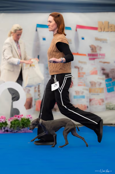 For Pets Cup — DSC02613