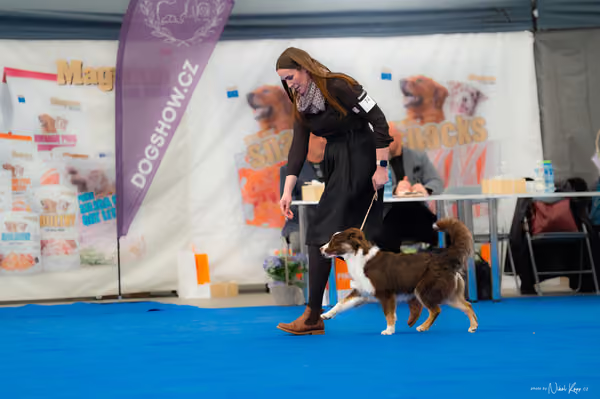 For Pets Cup — DSC02615