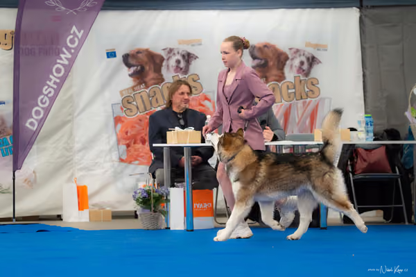 For Pets Cup — DSC02625