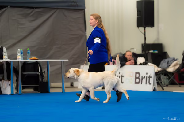 For Pets Cup — DSC02633