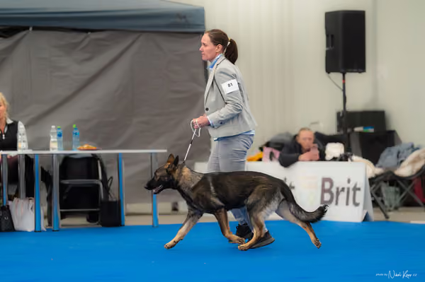 For Pets Cup — DSC02637
