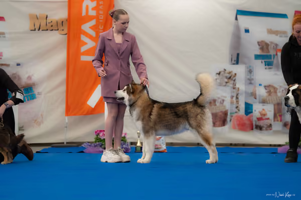 For Pets Cup — DSC02643
