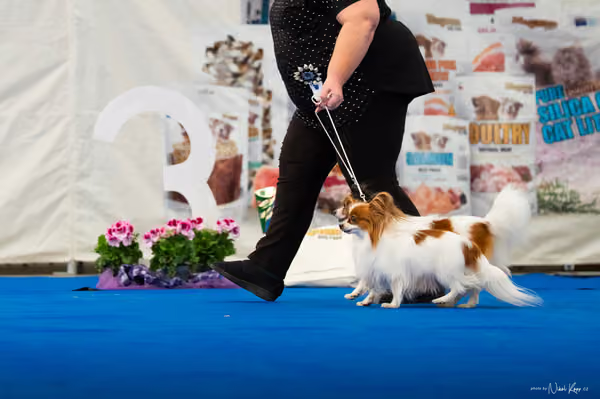 For Pets Cup — DSC02221