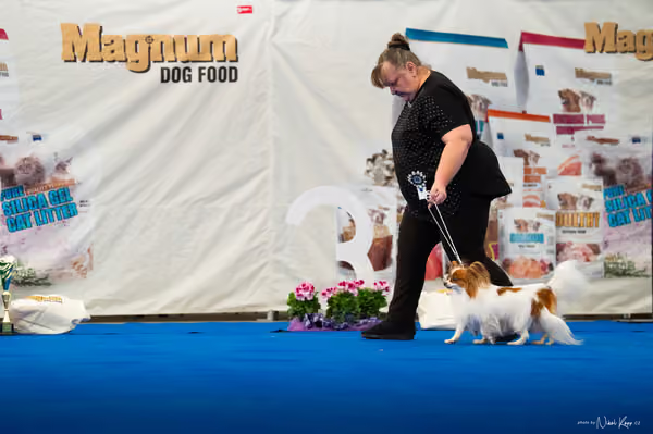 For Pets Cup — DSC02222