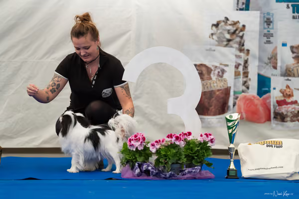 For Pets Cup – PÁRY