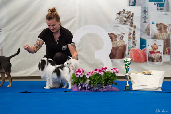 For Pets Cup – PÁRY