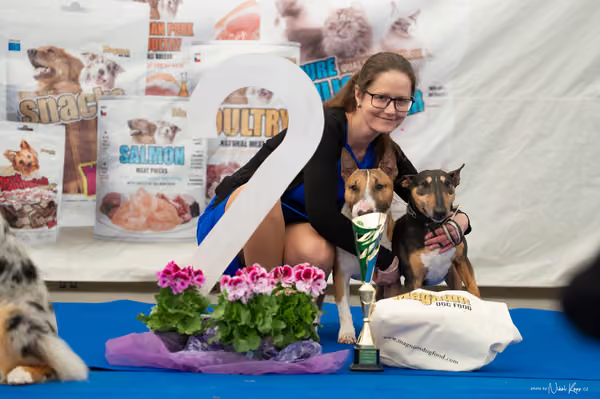 For Pets Cup – PÁRY