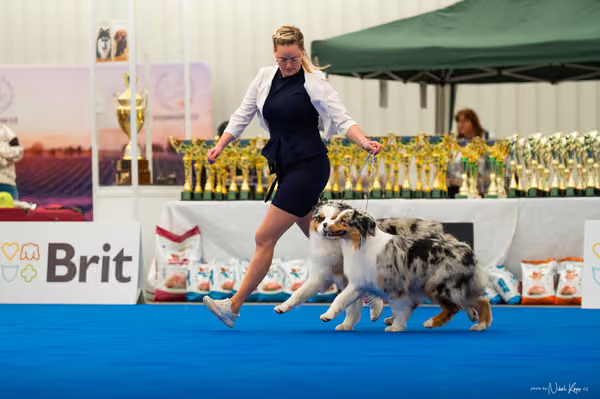 For Pets Cup – PÁRY