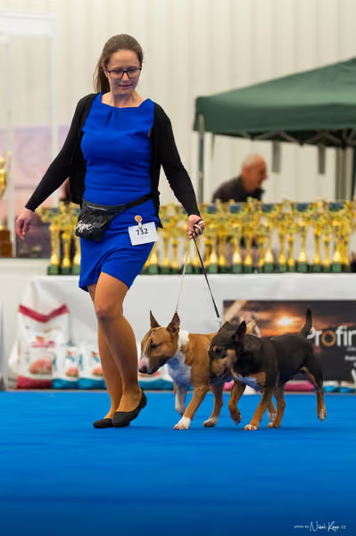 For Pets Cup – PÁRY
