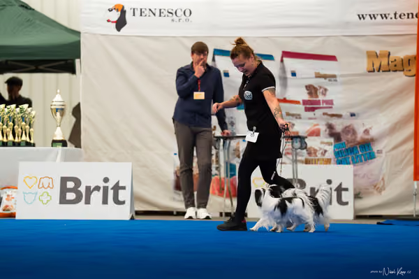 For Pets Cup – PÁRY