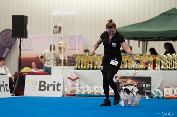 For Pets Cup – PÁRY