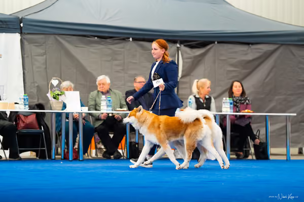 For Pets Cup — DSC02172